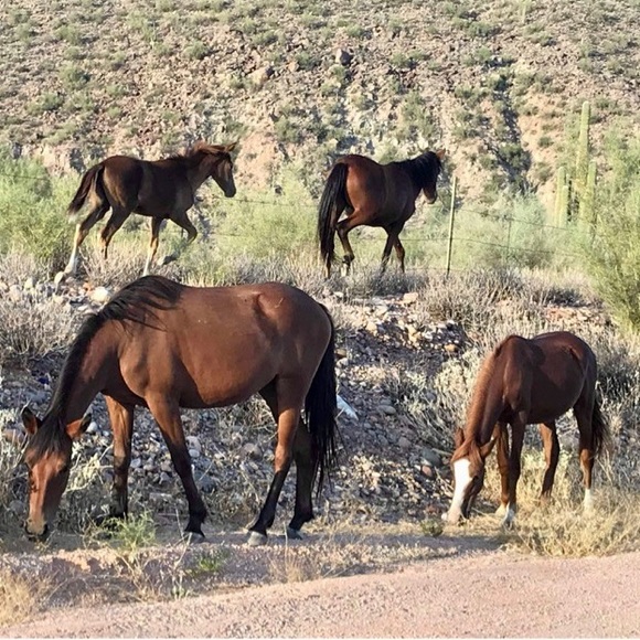 Meet your Posher, Lise - Picture 4 of 8